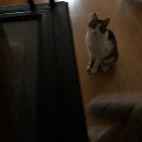 頑張ろう東京…GO TO トラベルキャンペーン！デールご飯〜の画像