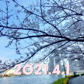 祝４周年の画像