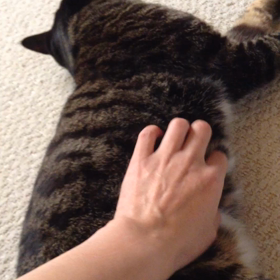 という訳で…の画像