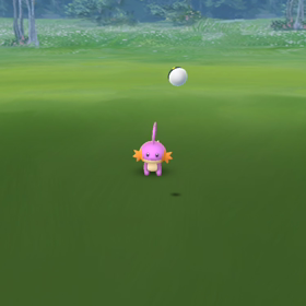 コミュニティデイ‼️の画像