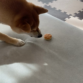 花粉がやばいの画像