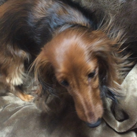 40日ぶりに…の画像