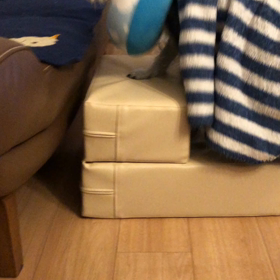 変なイキモノの画像