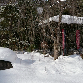 サイパンについて。の画像