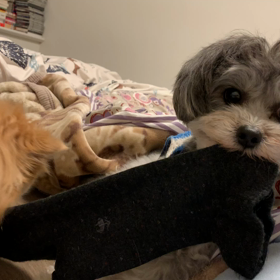 潔く？引きますの画像