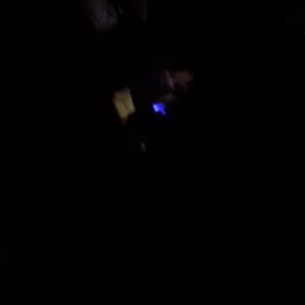 Jurassic5!!!Nu-Mark!!!の画像