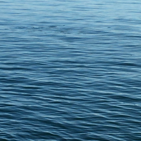 ジグサビキチャレンジでナブラが！！ 残念な結果にの画像