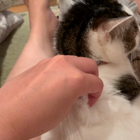 だるだるの皮膚 / その後の画像