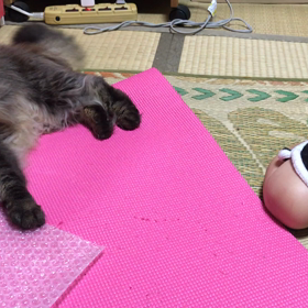 レオナルドレオンの脅威の画像