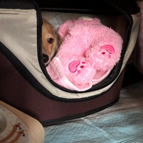 1日目、朝。の画像