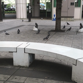 ピース！平和の象徴！の画像