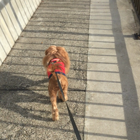 パパだ〜♪の画像