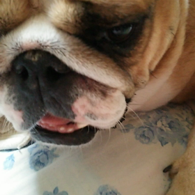 あそんでよ。の画像