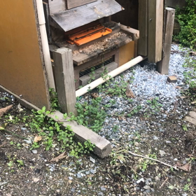 ミツバチの画像