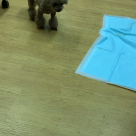 良かったよ。の画像