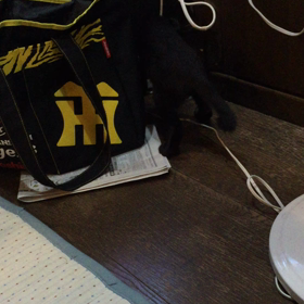 新聞で遊ぶ❷の画像