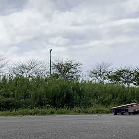 今日のオイラのスケート　自撮りよりの画像