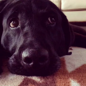 がんばったら何しようか？の画像