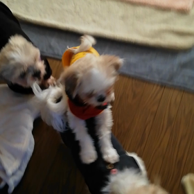 ねぇ!ねぇ!あそぼ♪の画像