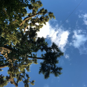 松／動画の画像