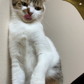 暇だからの画像