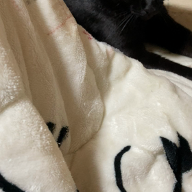 もしもの整体( ◠‿◠ )の画像