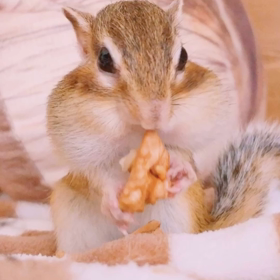 もごもごももたん♪の画像