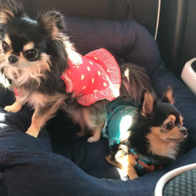 公園散歩の前にの画像