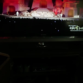 新潟十日町雪まつりの画像