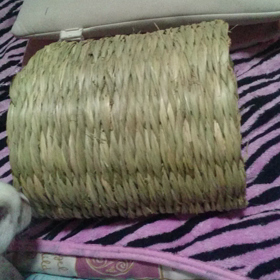 もっと動画を撮ってみたの画像