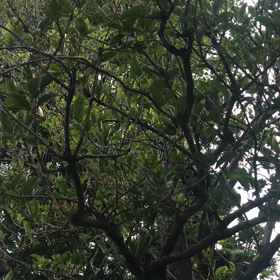 うるさい･･･の画像