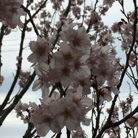 こんな感じです！の画像