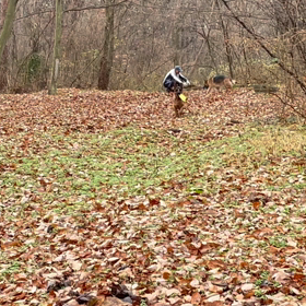 よそ者と判断されたの画像