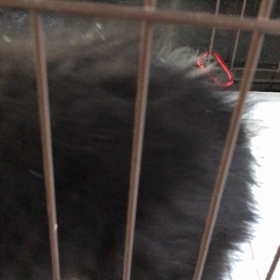 埼玉 確認用の画像