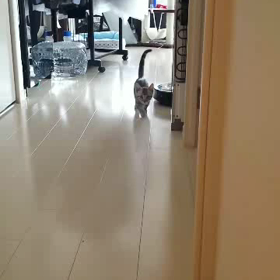 とらぢ@2の画像