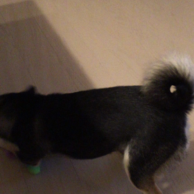 台風のやろ〜(♯｀∧´)の画像