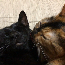 がまん、がまん。。の画像