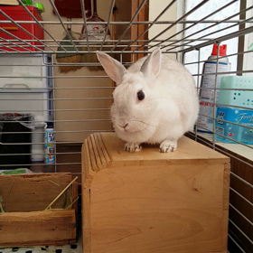 うっちゃん手が滑る　7月6日、9日の画像