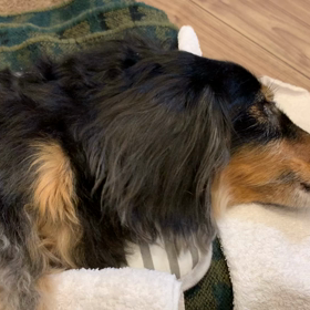 心拍が安定しないの画像