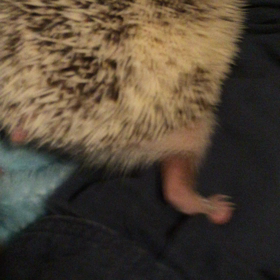 うにケツ♡の画像