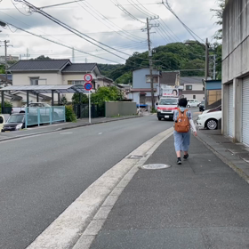 参議院選の画像