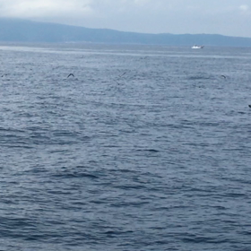 ルアーキャスティング船の画像