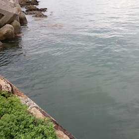 釣りシーズンに突入か♪の画像