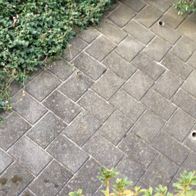 ワンワン！の画像