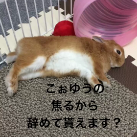 お久しぶりですの画像