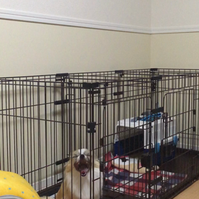 扉を開けたくての画像