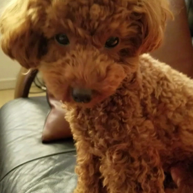 お話タイム♪の画像