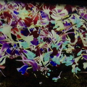 アート浴の画像