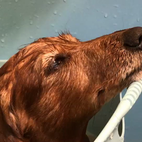 ”【日本人なら知っておきたい大和の心】『”の画像