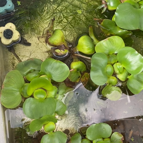 療育と虐待の画像